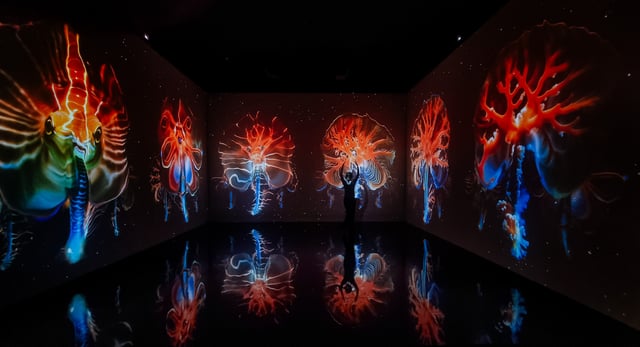 Superradiance - Taikang Beijing 2024 - 20241114_181027